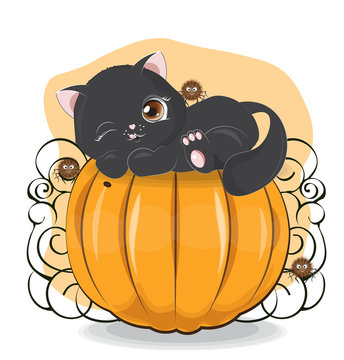 Halloween black cat on pumpkin