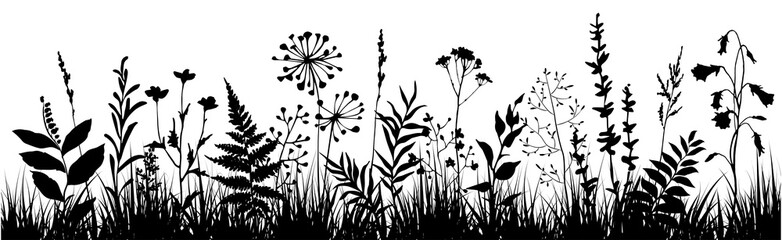 Abstract background with black silhouettes of meadow wild herbs and flowers. Wildflowers. Floral background. Wild grass. Vector illustration.