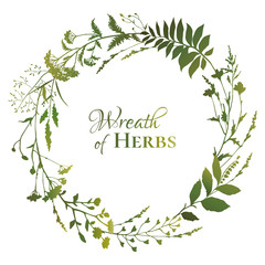 Round floral frame with green silhouettes of meadow herbs on white background. Herbal wreath. Decorative wreath. Wild grass. Vector illustration.