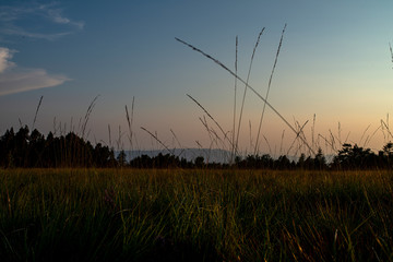 Schwarzwald