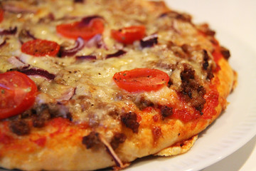 Fresh delicious pizza in closeup
