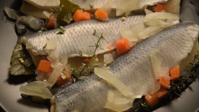 Aringa ft7111_0120 Clupea harengus Silli