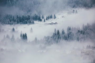 Obraz na płótnie Canvas Winter postcard.