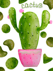 Watercolor handdrawing succulent in a pink flower pot. Set of floral elements for posrters, fabric, prints, cards, skrapbooking, banner. A watercolor cactus and pink flowers.