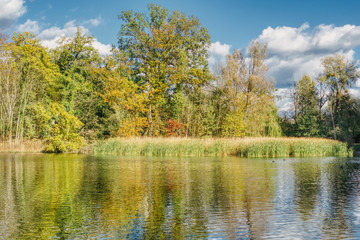 Fototapeta na wymiar słoneczny wczesnojesienny dzień nad jeziorem, żółte liście na drzewach w parku