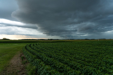 Fototapeta na wymiar Storm Clouds In Country