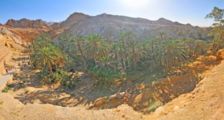 Tunezyjski Kanion Chibika w Tamagra na Sacharze © robnaw