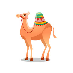 Dromedary camel with a saddle. Raster illustration in flat cartoon style on white background.