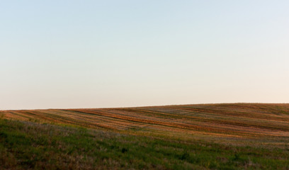 Fototapeta na wymiar Yellow-green hilly field after harvesting in the evening, at sunset. May be the background.
