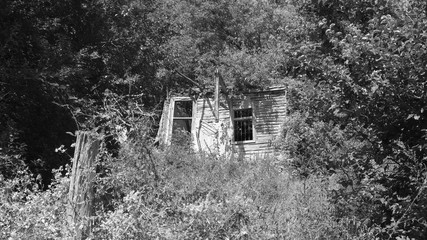 derelict house