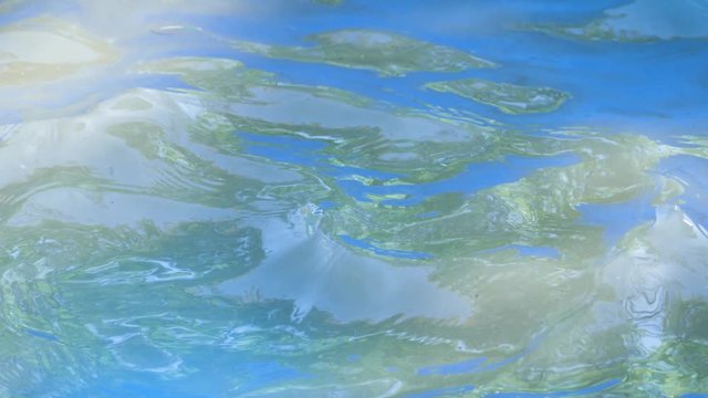 Video of water moving in a small kiddie pool with reflection of trees on the surface.