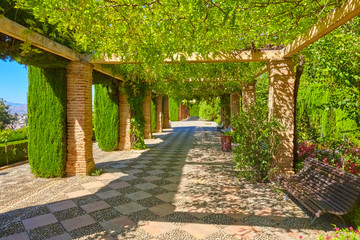 Famous garden in the Alhambra at Granada in Spain.