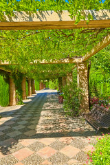 Famous garden in the Alhambra at Granada in Spain.