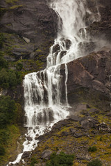 Natural park backgorund, fresh green spring bacground