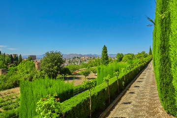 Naklejka premium Famous garden in the Alhambra at Granada in Spain.