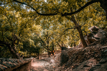 Fototapeta premium autumn in the park of Toubkal