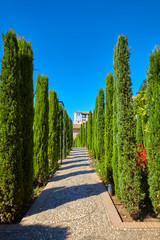 Famous garden in the Alhambra at Granada in Spain.