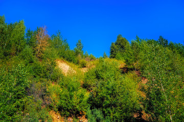 limestone cliffs overgrown with forest against a blue summer sky