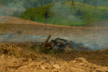 Deforestation on the livestock farm in the municipality of São Félix do Xingu, in the Amazon rainforest. - Pará, Brazil