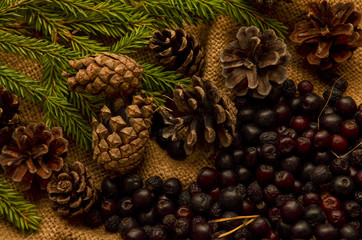Black mountain ash, pine cones and branches on the background of burlap. Preparations for the winter. Gift of nature.