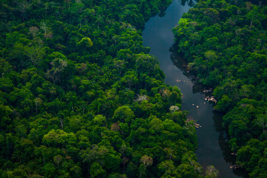 The Jamanxim River, Amazon Rainforest in the the Jamanxim National Forest. Par&aacute; - Brazil