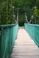 Fototapeta premium bridge in forest