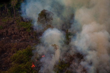 Recent burned and deforested area within Jamanxim National Forest. Amazon Rainforest -  Pará / Brazil