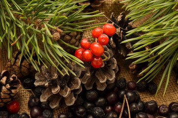 Black Rowan and red Rowan, pine cones and branches on the background of burlap. Preparations for the winter. Gift of nature.