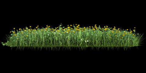 Grass isolated. Image useful for banners, posters or photo maipulations. 3d rendering.