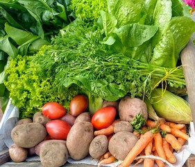fresh vegetables and fruits