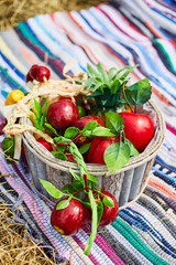 Fresh ripe rustic red apples in a basket close up