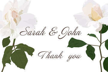 Wedding invitation with Rose flower, watercolor, isolated on white.  Vector Watercolour.