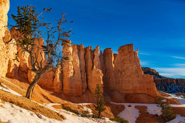 Early Morning Sun on the Hoodoos and Snow of Bryce Canyon