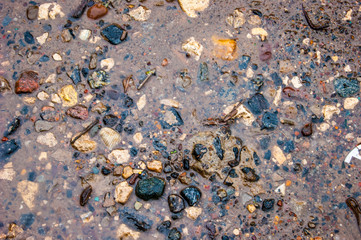 The texture of wet stones in shallow water on the sand - photo. Background.