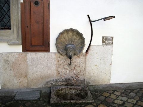 Waldstejnwaserschwanz