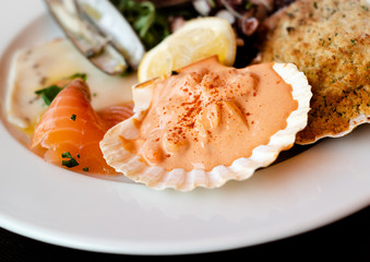 Shell with shrimps covered with mayonnaise sauce in the plate.