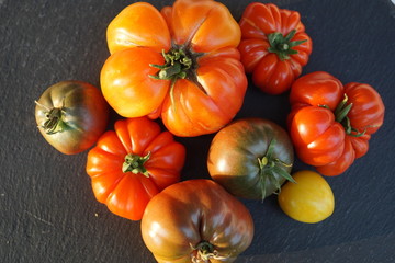 historic Tomatos