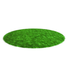 Grass rendering isolated on white background.