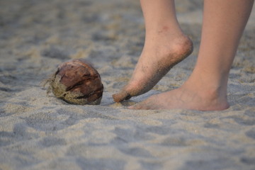 caribe colombiano tayrona