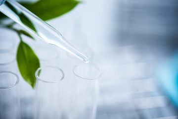 Dropper over test tube dropping sample chemical into sample herbal plaint , biotechnoloy research...