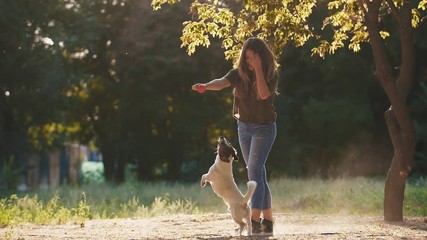 Attractive young woman playing with jack russel terrier in park during beautiful sunset, super slow motion
