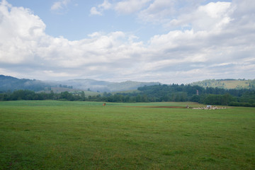Fototapeta na wymiar Pastwisko w górach, Bieszczady, okolice Dwernika