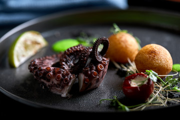 Grilled octopus beautiful serve, close up, low key, food fashion style. © Georgii