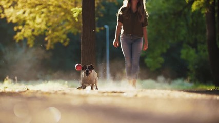 Young woman playing with dog jack russel terrier in park during beautiful sunset. Dog trying to catch the ball, super slow motion, low angle view