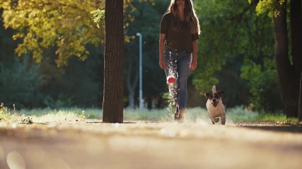 Young woman playing with dog jack russel terrier in park during beautiful sunset. Dog trying to catch the ball, super slow motion, low angle view