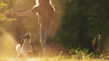 Attractive young woman playing with jack russel terrier in park during beautiful sunset, super slow motion