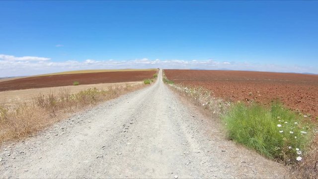 a dirt road on a summer landscape between La Haba and Don Benito, province of Badajoz, Extremadura, Spain