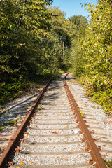 Obraz premium abandoned railway road in the urban area with both sides filled with trees and green bushes under the sun