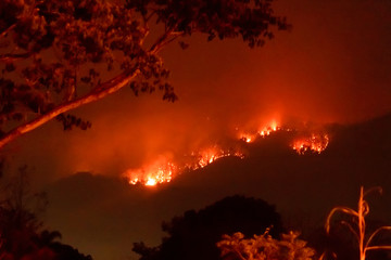 Amazon forest fire disater problem.Fire burns trees in the mountain at night.