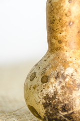 Traditional mexican gourd or Bule ornament